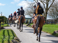 AK310322-100 - Alan King Stable Visit